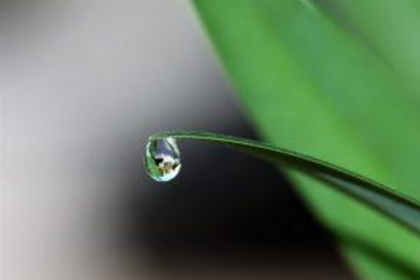 Diseño sin título(11)