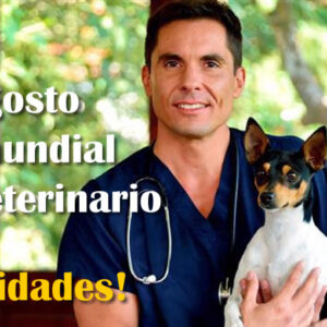 Veterinario