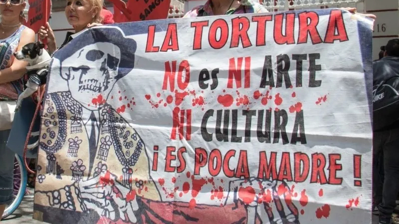 Toros-1