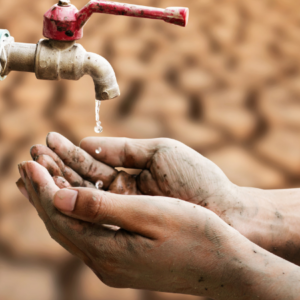 crisisdelagua_agenciabrunc_2024