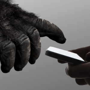 gorillaglass_agenciabrunc_2024