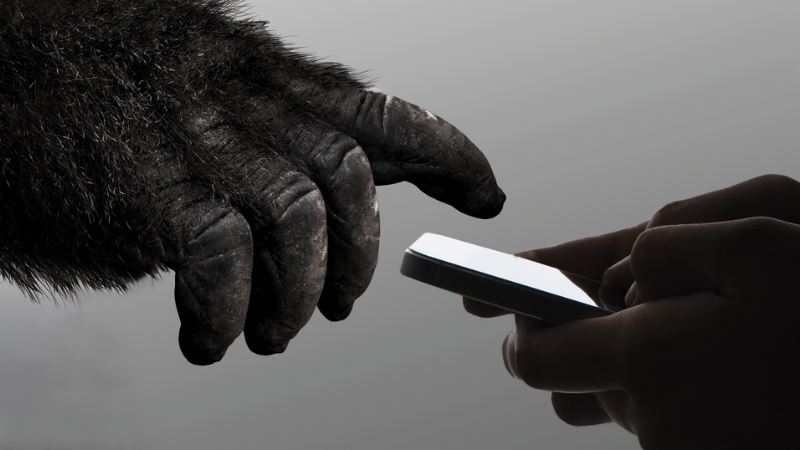 gorillaglass_agenciabrunc_2024