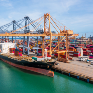 importaciones_agenciabrunc_2024