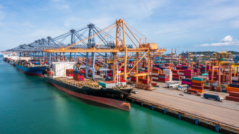 importaciones_agenciabrunc_2024