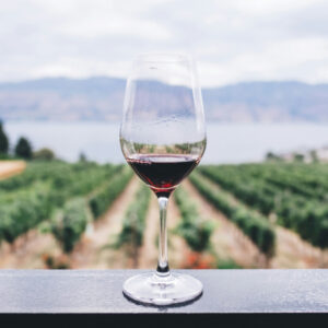 vino tinto Members (3) 1 (1)
