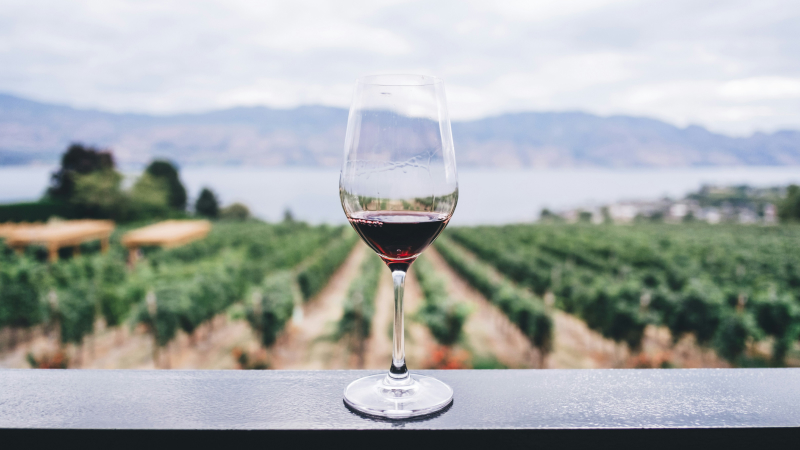 vino tinto Members (3) 1 (1)