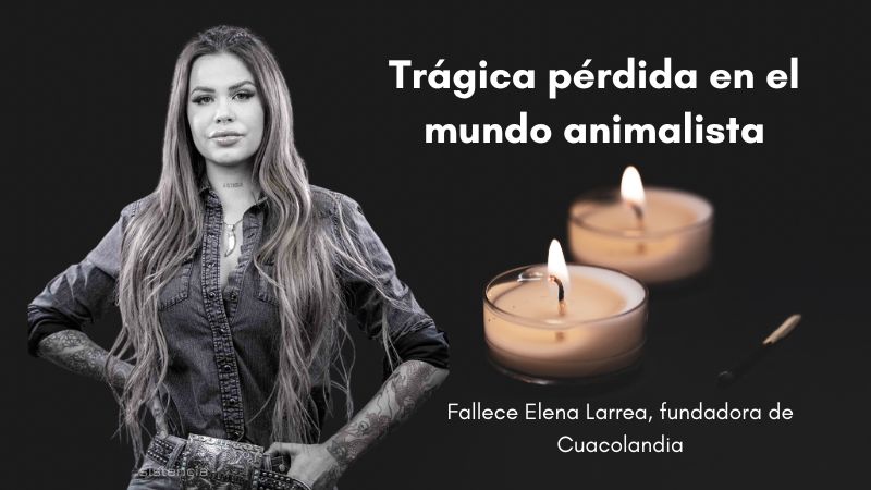 ElenaLarrea_agenciabrunc_2024