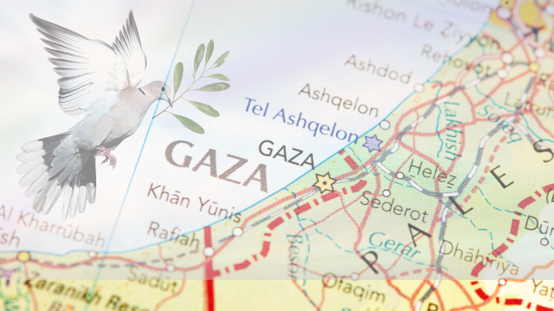 Gaza_agenciabrunc_2024