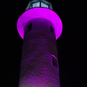 image 1 (4)