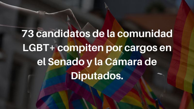 EleccionesLGBT_agenciabrunc_2024