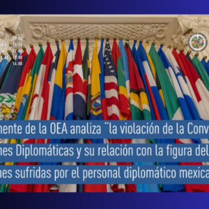 OEAEcuador_agenciabrunch_2024