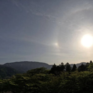 image 1 (1)