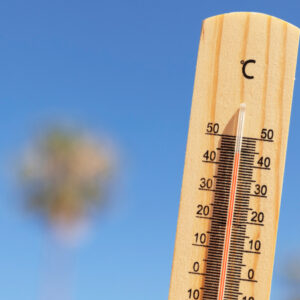 Olas de calor freepik 1