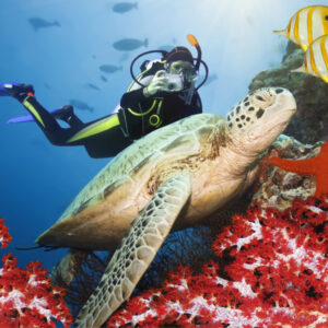 Cozumel-i8686 1