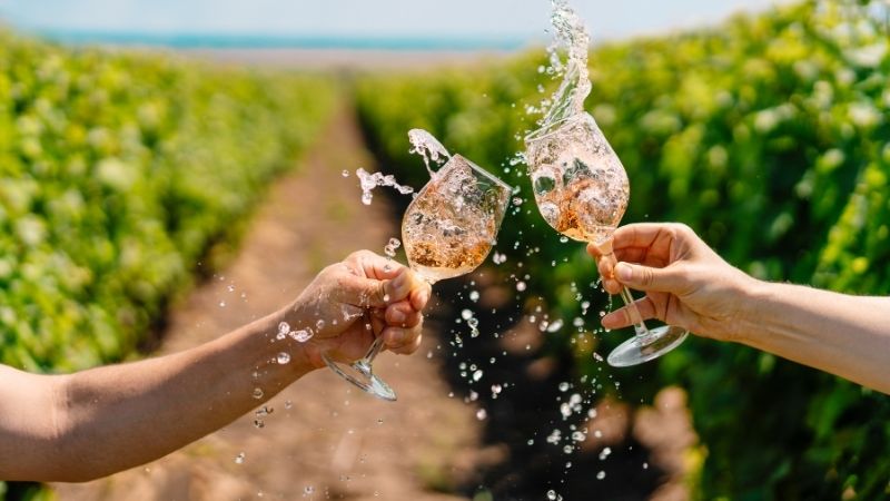 VinosLaRedonda_Agenciabrunch_2024