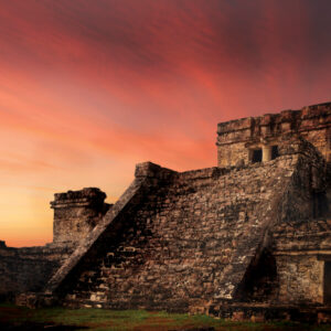 image (4)