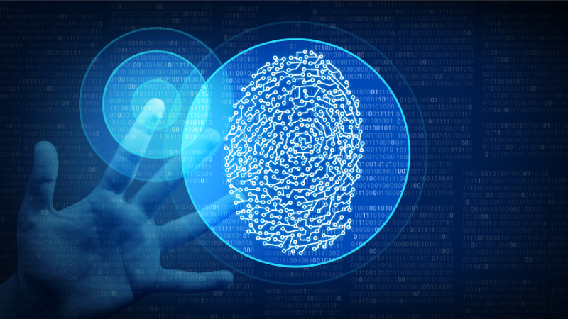 biometrico_Agenciabrunch_2024
