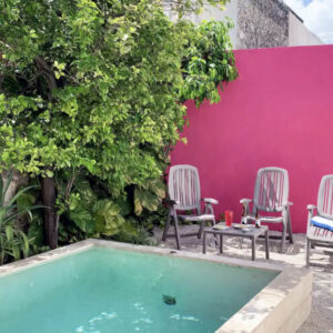 image (3)