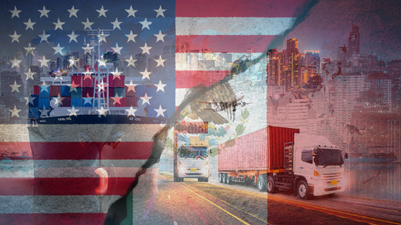 IMportación_AgenciaBrunch_2025