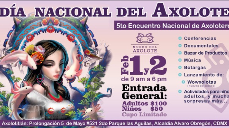 image (10)