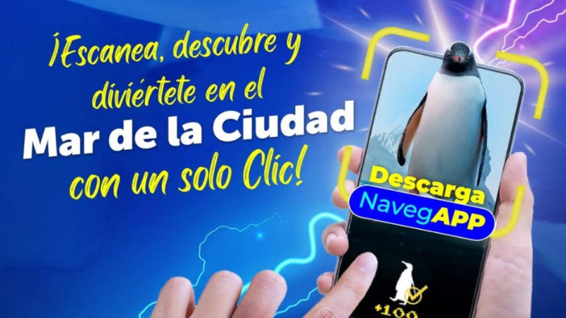 ACUARIOiMBURSA_dulcevazquez_2025