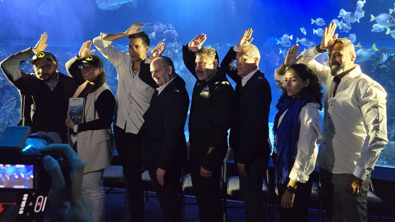 tiburones_ _agenciabrunch_2025