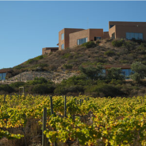 Agencia_Brunch_Portada (4)