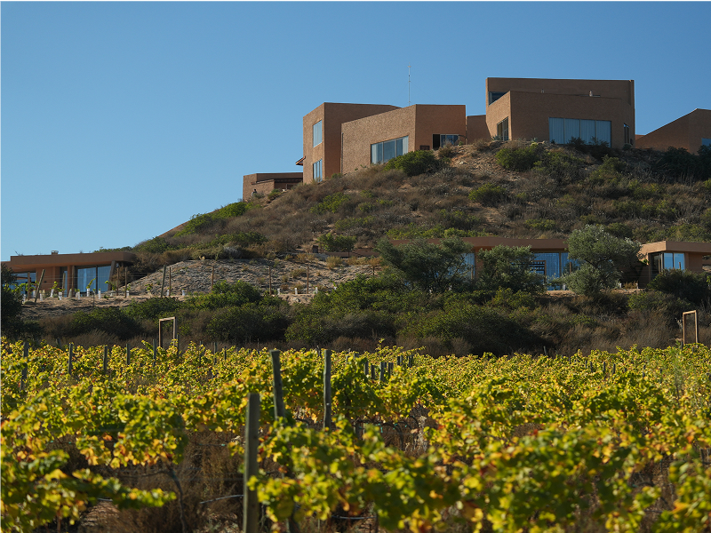 Agencia_Brunch_Portada (4)