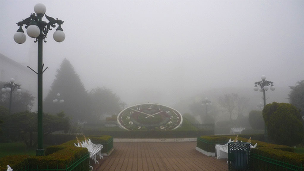 Agencia_Brunch_Zacatlan_Gobmx