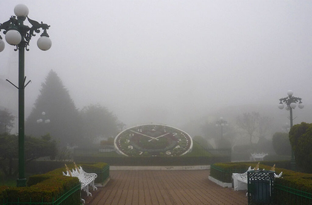 Agencia_Brunch_Zacatlan_Gobmx