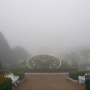 Agencia_Brunch_Zacatlan_Gobmx