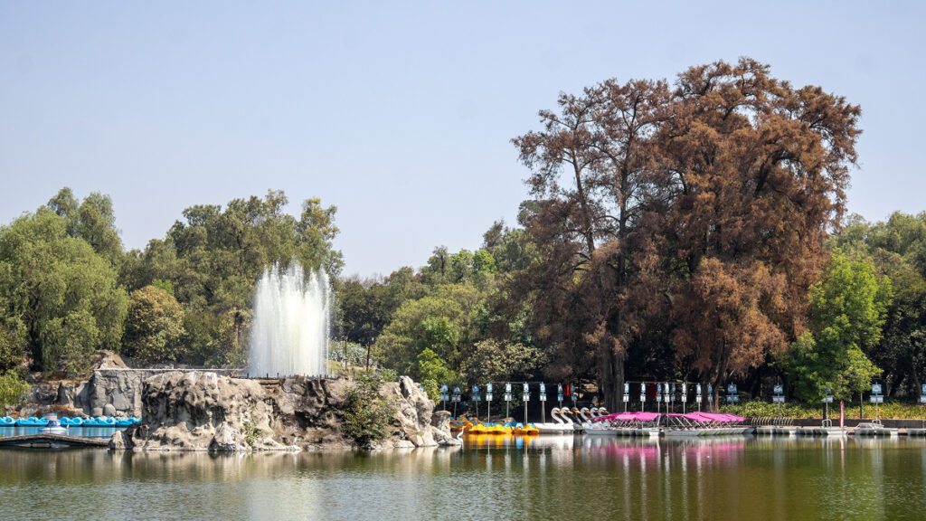 Agencia_Brunch_Bosque_De_Chapultepec