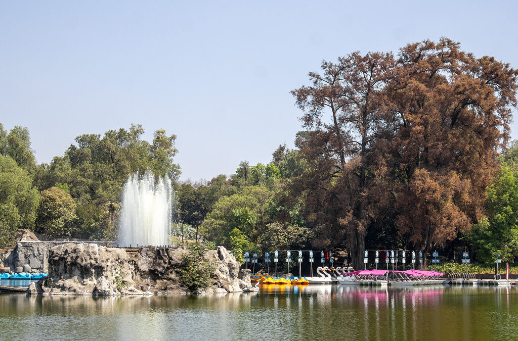 Agencia_Brunch_Bosque_De_Chapultepec