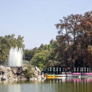 Agencia_Brunch_Bosque_De_Chapultepec