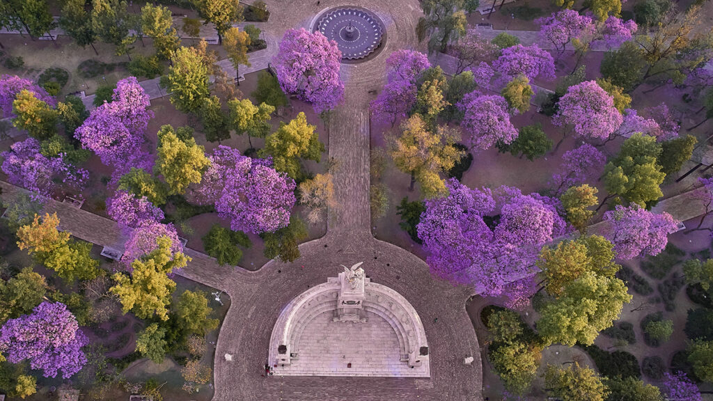 Agencia_Brunch_Inmersiones_FYJA_2026