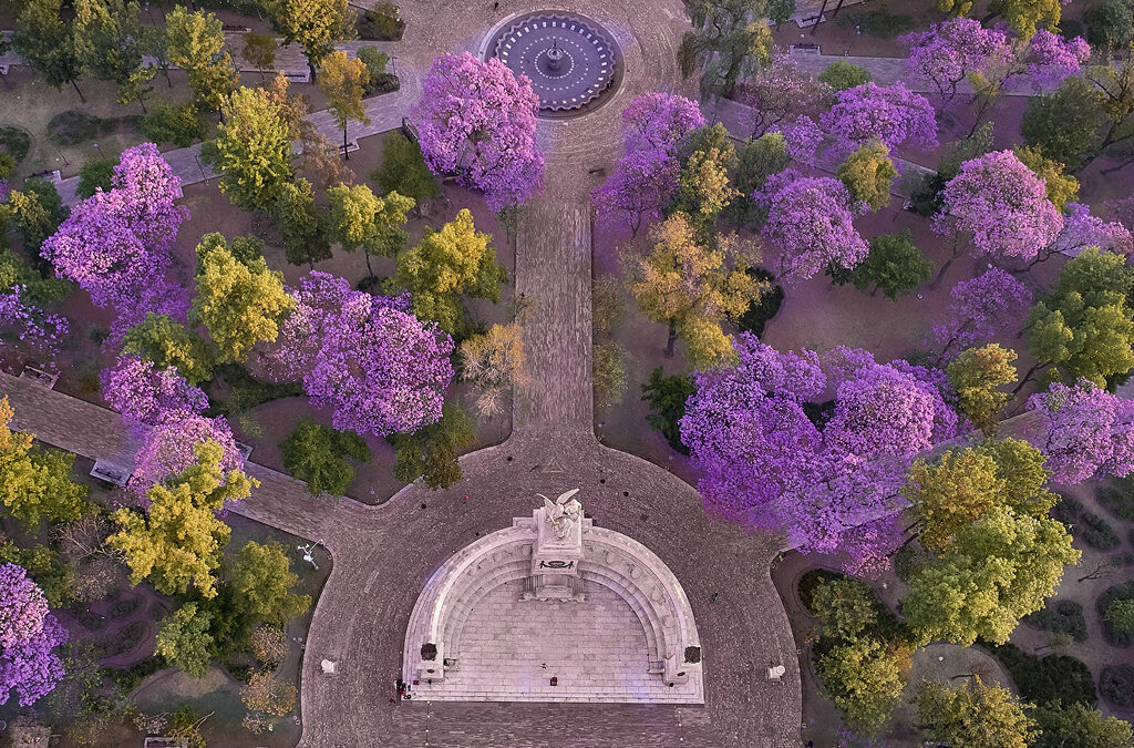 Agencia_Brunch_Inmersiones_FYJA_2026