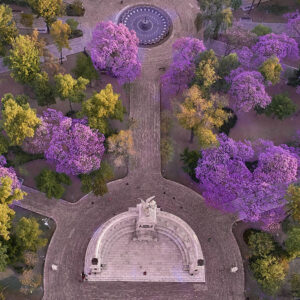 Agencia_Brunch_Inmersiones_FYJA_2026