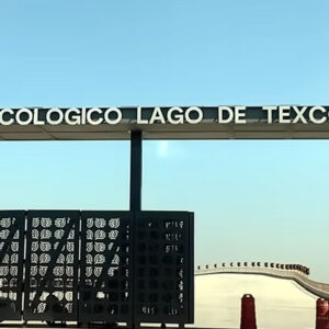 Agencia_Brunch_Lago_De_Texcoco