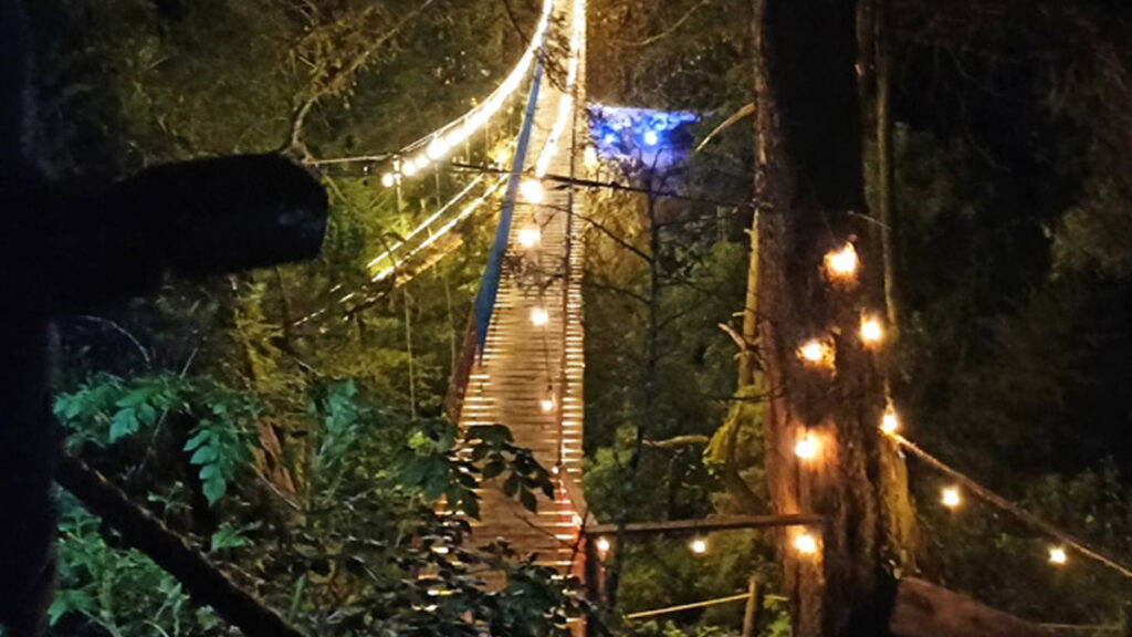 Agencia_Brunch_Bosque_De_Los_Cedros_Hidalgo