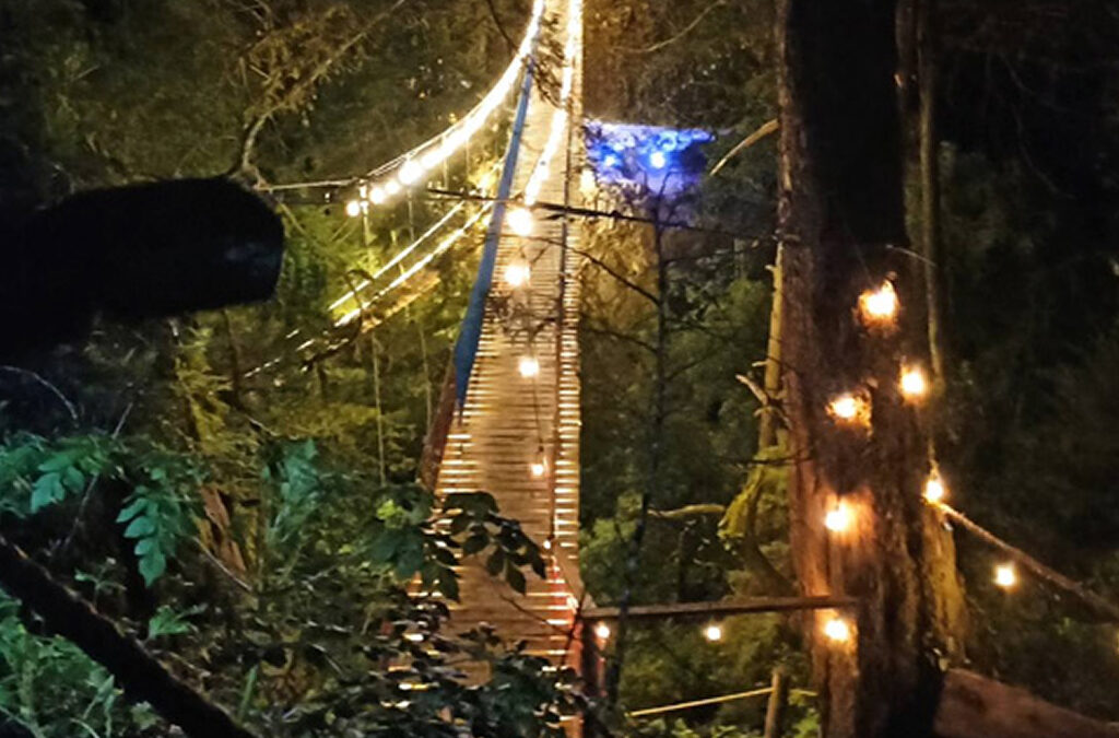 Agencia_Brunch_Bosque_De_Los_Cedros_Hidalgo