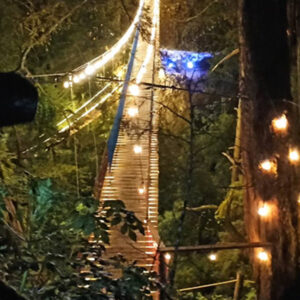 Agencia_Brunch_Bosque_De_Los_Cedros_Hidalgo