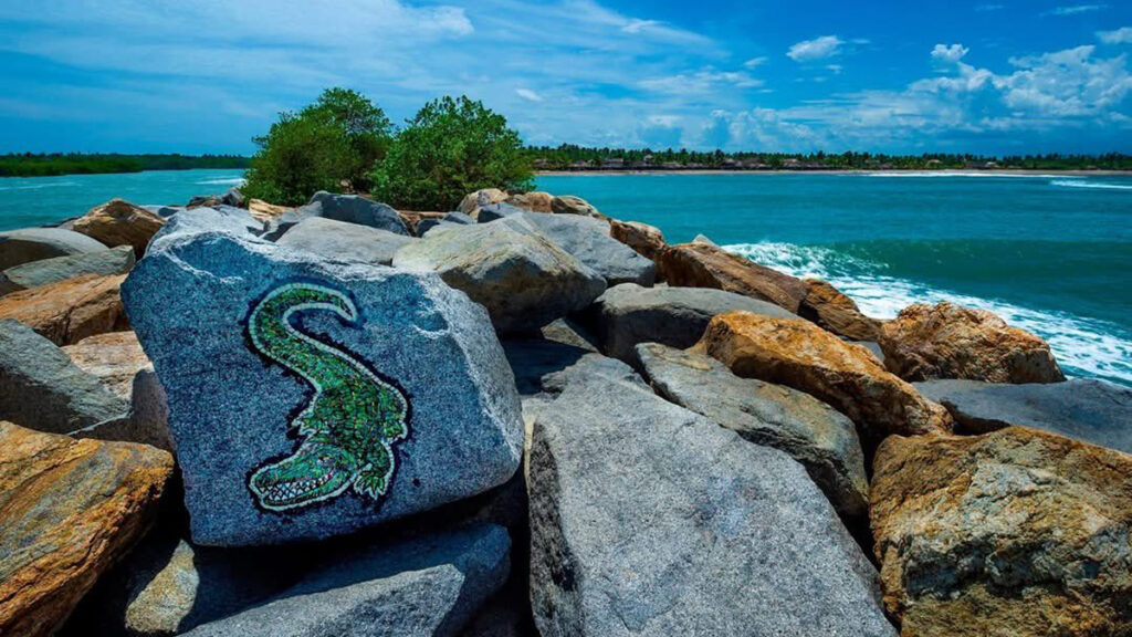 Agencia_Brunch_Chacahua_Oaxaca_Sectur