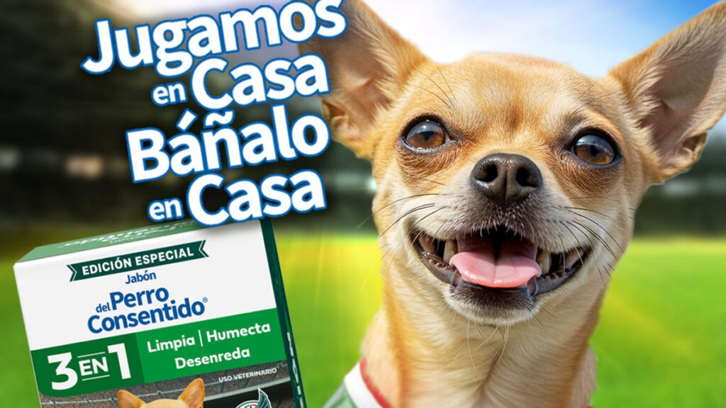 Agencia_Brunch_Grisi_Pet_Care_El_Perro_Consentido