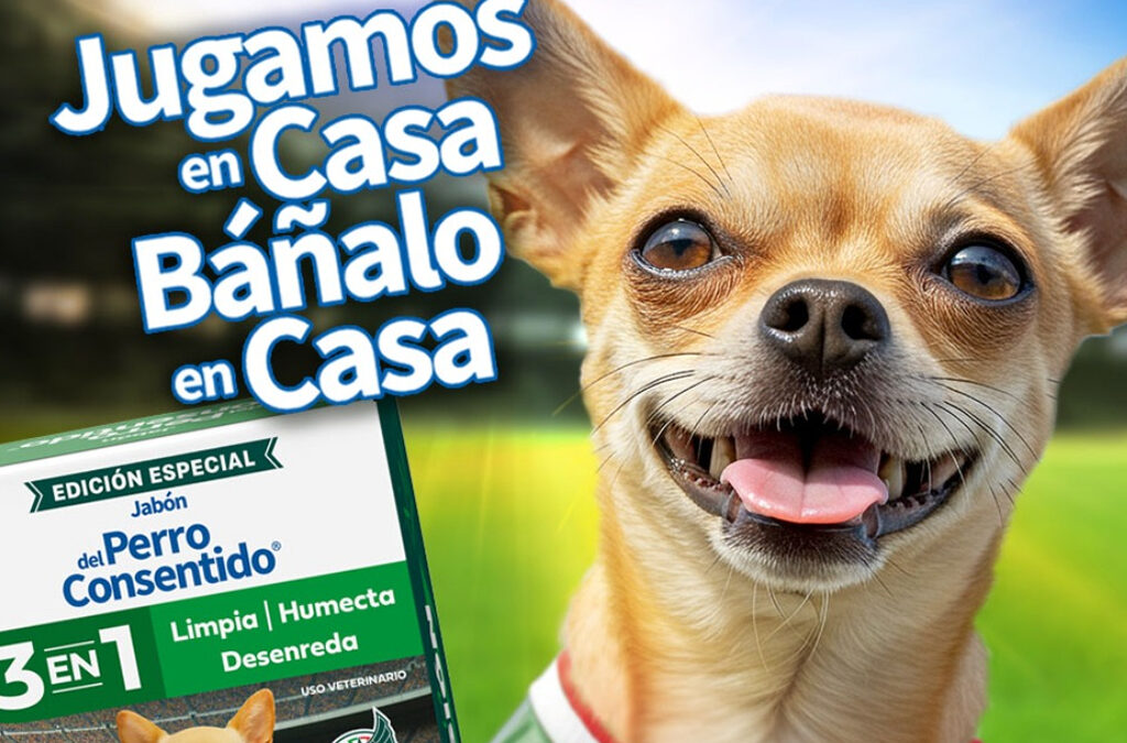 Agencia_Brunch_Grisi_Pet_Care_El_Perro_Consentido