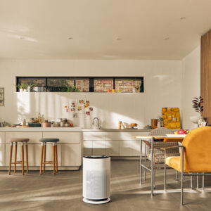 Agencia_Brunch_LG_Electronics_Puricare