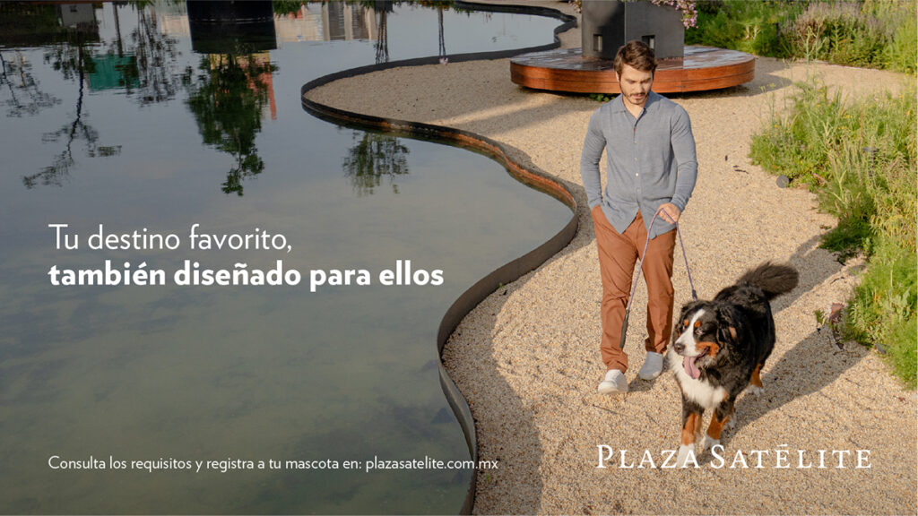 Agencia_Brunch_Plaza_Satelite_Mascotas