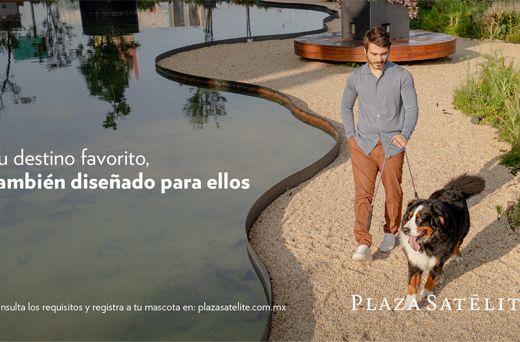 Agencia_Brunch_Plaza_Satelite_Mascotas