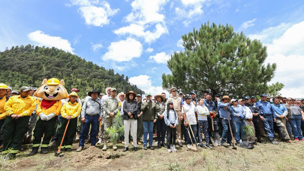Agencia_Brunch_Moctezuma_Reforestacion