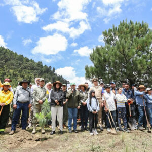 Agencia_Brunch_Moctezuma_Reforestacion