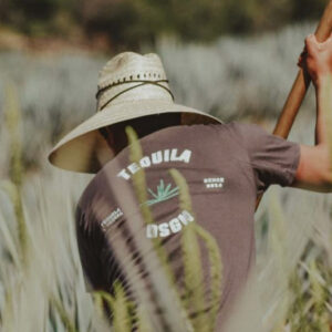 Agencia_Brunch_Tequila_Design_2td